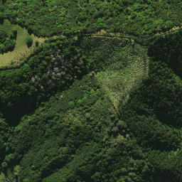 Satellite imagery of 2082, NZ
