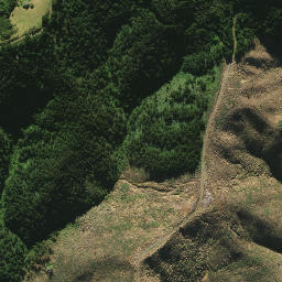 Satellite imagery of 2082, NZ
