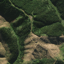 Satellite imagery of 2082, NZ