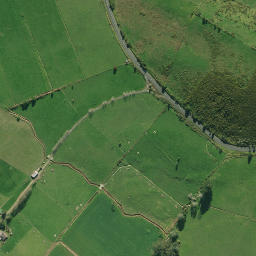 Satellite imagery of 1991, NZ