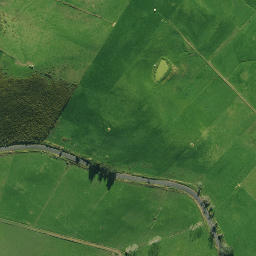 Satellite imagery of 1991, NZ