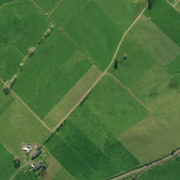 Satellite imagery of 1991, NZ