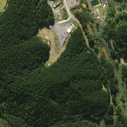 Satellite imagery of 2084, NZ