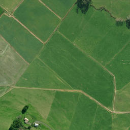 Satellite imagery of 1991, NZ