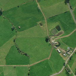 Satellite imagery of 1991, NZ