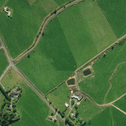 Satellite imagery of 1991, NZ