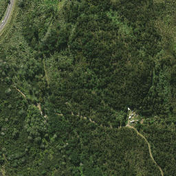 Satellite imagery of 2084, NZ