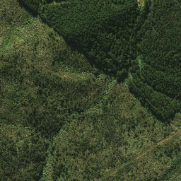 Satellite imagery of 2084, NZ
