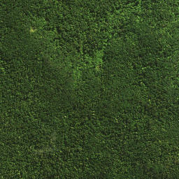 Satellite imagery of TUTAMOE NO 2, NZ