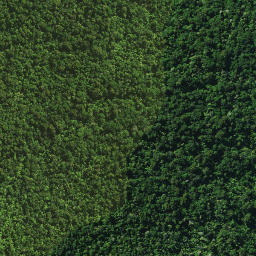 Satellite imagery of TUTAMOE NO 2, NZ