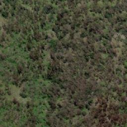 Satellite imagery of Turks Head, AU