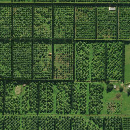 Satellite imagery of 2071, NZ