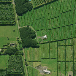 Satellite imagery of 2071, NZ