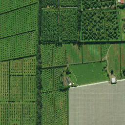 Satellite imagery of 2071, NZ