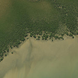 Satellite imagery of Stevens Point, NZ
