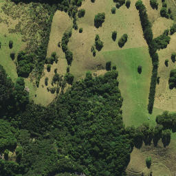 Satellite imagery of Mangatawa Point, NZ