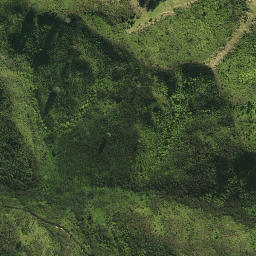 Satellite imagery of WHAREKOHE NO 2, NZ