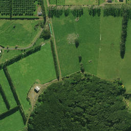 Satellite imagery of 2071, NZ