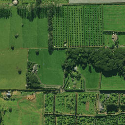 Satellite imagery of 2071, NZ