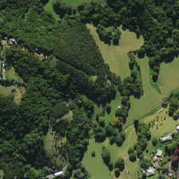 Satellite imagery of Mangatawa Point, NZ