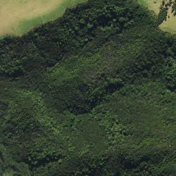 Satellite imagery of 44A KAURI MOUNTAIN, NZ