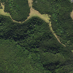 Satellite imagery of 44A KAURI MOUNTAIN, NZ