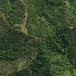 Satellite imagery of WHAREKOHE NO 2, NZ