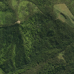 Satellite imagery of WHAREKOHE NO 2, NZ