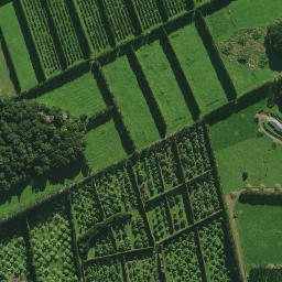 Satellite imagery of 2071, NZ