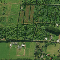 Satellite imagery of 2071, NZ