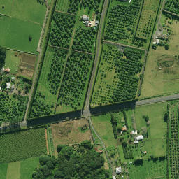 Satellite imagery of Pukeatua Pa, NZ