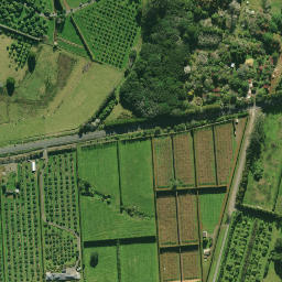 Satellite imagery of 2074, NZ