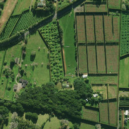 Satellite imagery of 2074, NZ