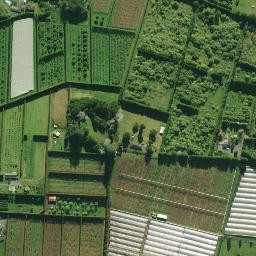 Satellite imagery of 2074, NZ