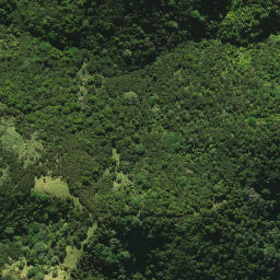 Satellite imagery of 41I RANGITEHE, NZ