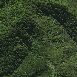 Satellite imagery of 41I RANGITEHE, NZ