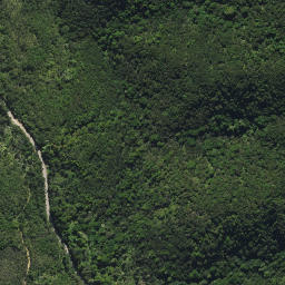 Satellite imagery of 44A KAURI MOUNTAIN, NZ
