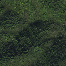 Satellite imagery of 44A KAURI MOUNTAIN, NZ