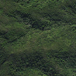 Satellite imagery of 44A KAURI MOUNTAIN, NZ