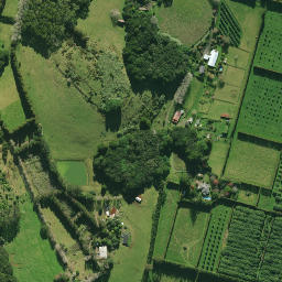 Satellite imagery of 2074, NZ