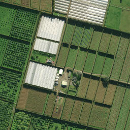 Satellite imagery of 2074, NZ
