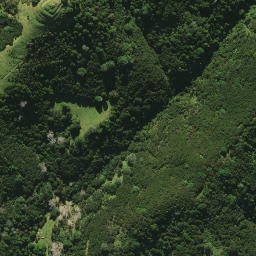 Satellite imagery of 41I RANGITEHE, NZ