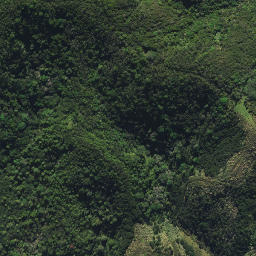 Satellite imagery of 44A KAURI MOUNTAIN, NZ