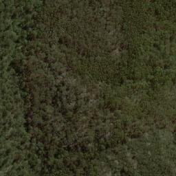 Satellite imagery of Bald Peak, AU