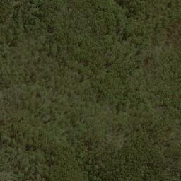 Satellite imagery of The Bald Peak, AU