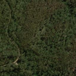 Satellite imagery of The Bald Peak, AU