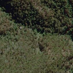 Satellite imagery of Apple Tree Mountain, AU