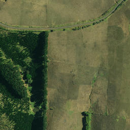 Satellite imagery of 982, NZ
