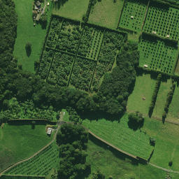 Satellite imagery of 2074, NZ