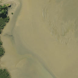 Satellite imagery of Tapu Point, NZ